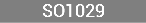 SO1029